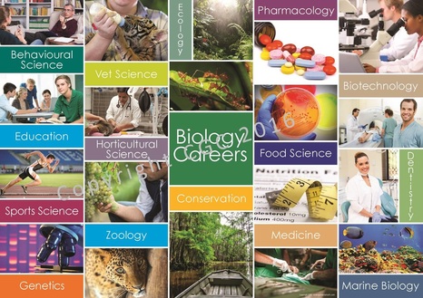 Biology Careers