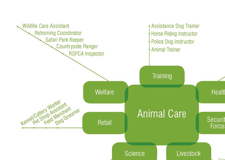 Animal Care Careers